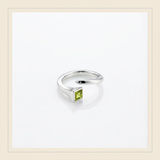 Les clous porte-bonheur de Sainte Dévote" Silver and Precious Stone Ring