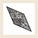 "Le Cirque" Losanges