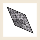 "Le Cirque" Losanges