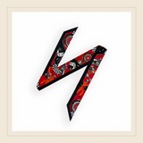 "LES COMMISSAIRES DE PISTE" Malicieux