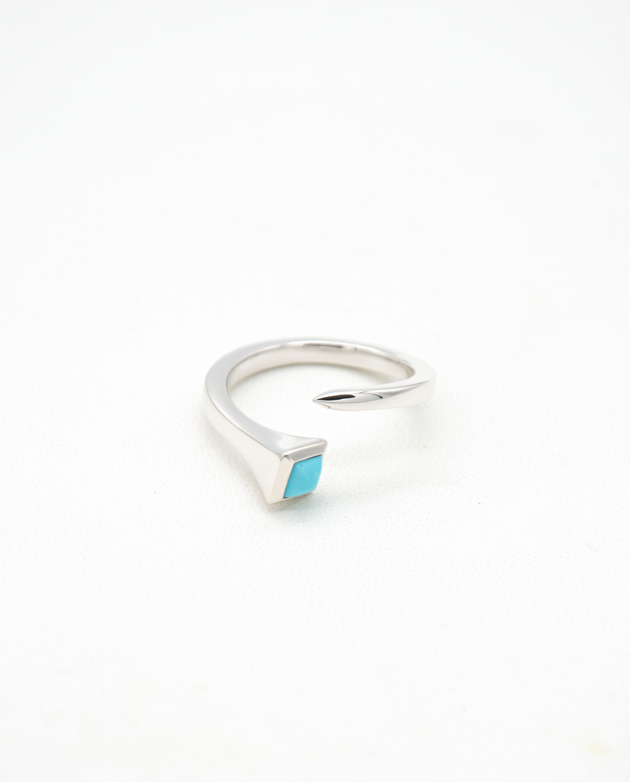 Les clous porte-bonheur de Sainte Dévote" Silver and Precious Stone Ring