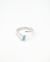 Les clous porte-bonheur de Sainte Dévote" Silver and Precious Stone Ring