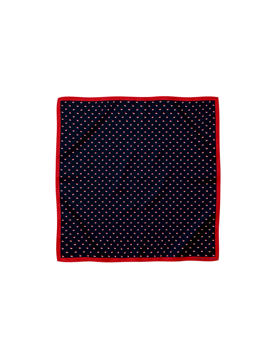Pochette « Le Drapeau de la Principauté »